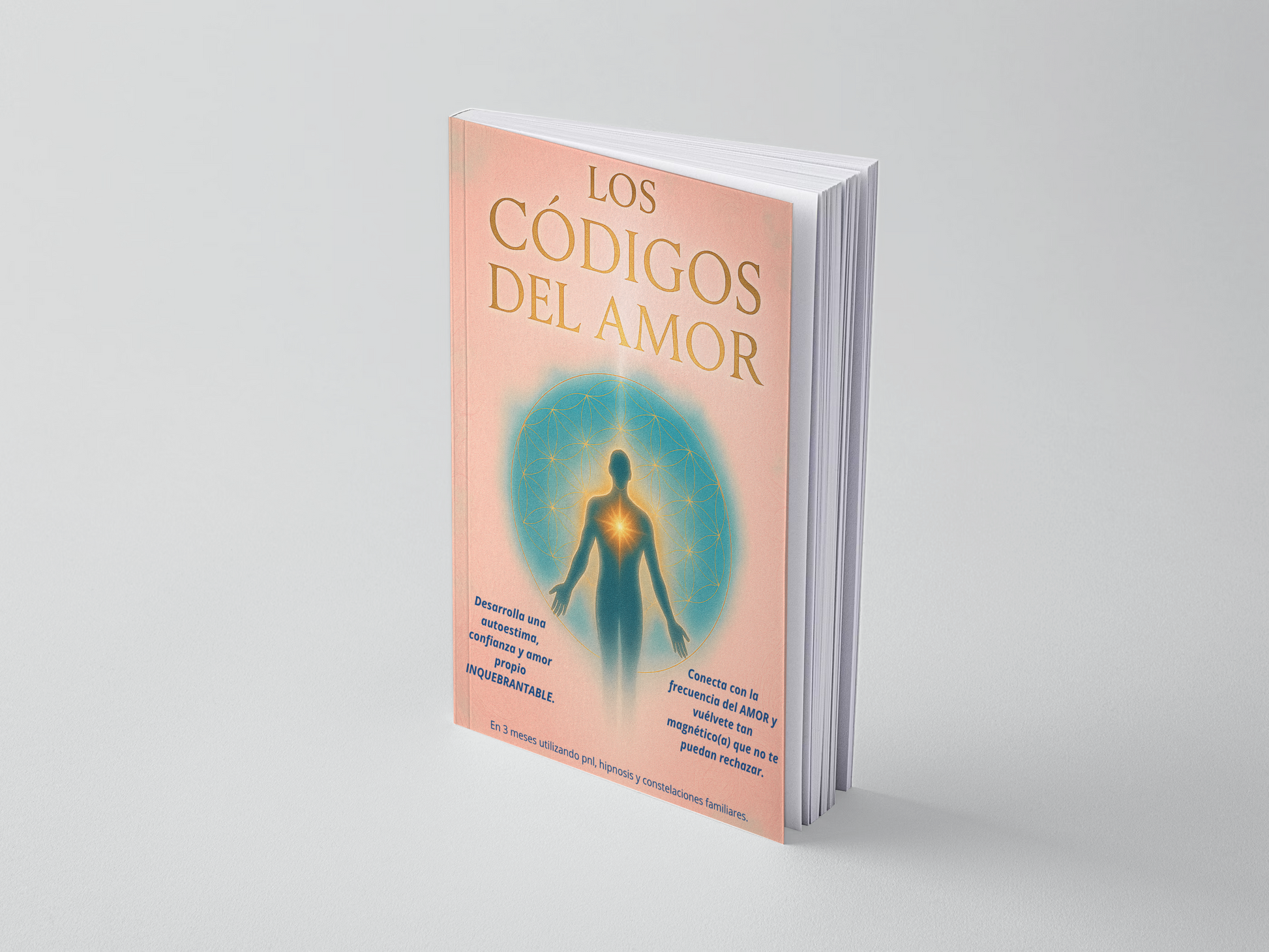 Los Códigos del Amor
